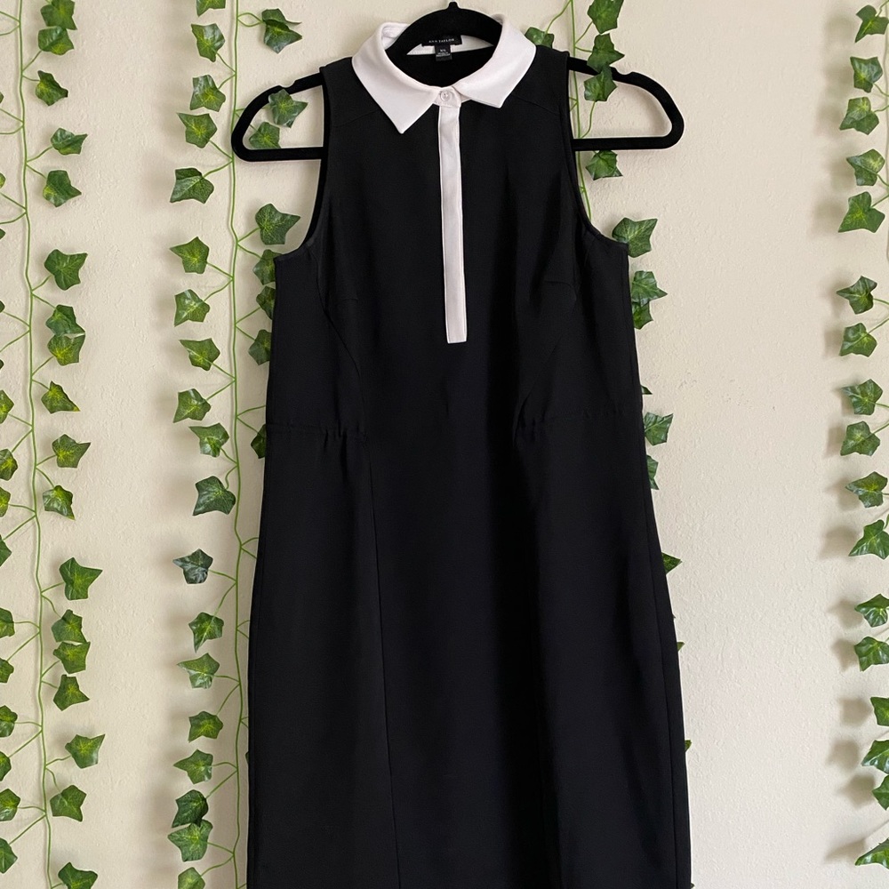 Ann Taylor Dress